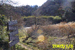 view of Kawana_Shimizu Yato in Kawana wooded area